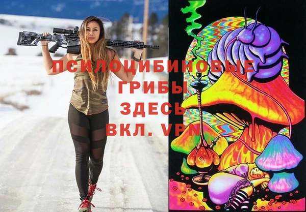 дживик Баксан