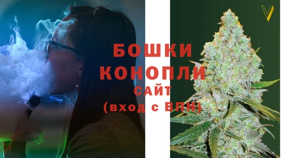 дживик Баксан